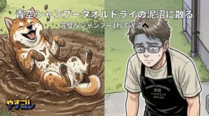 やすコレコラボ回２のアイキャッチ画像